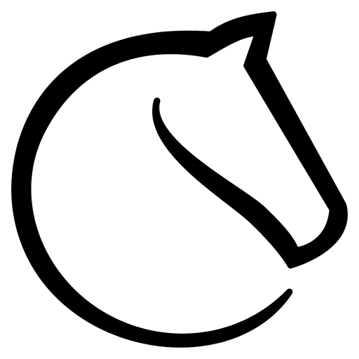 365chess.com favicon